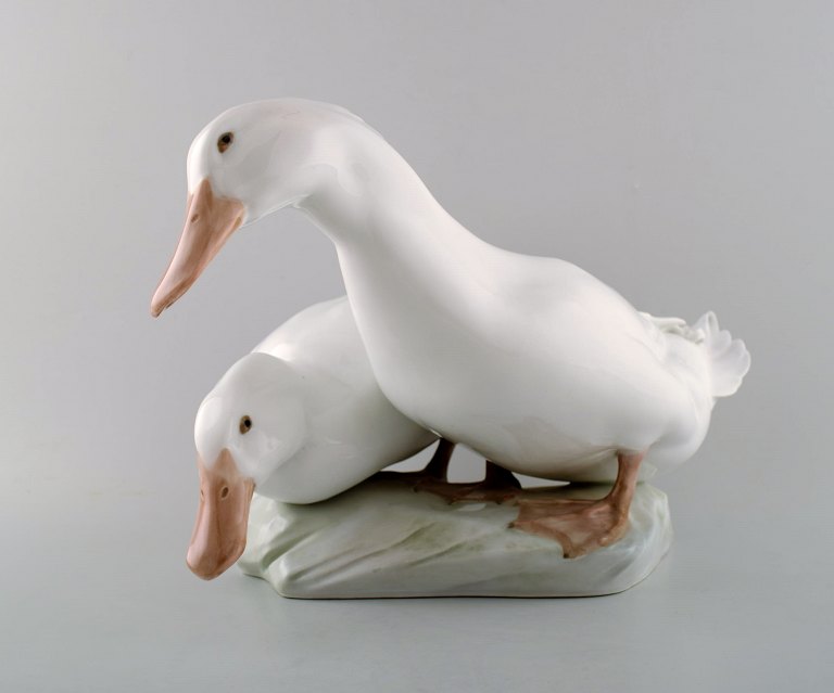 Royal Copenhagen. Figurgruppe af porcelæn, hvide ænder, nr. 412. 
