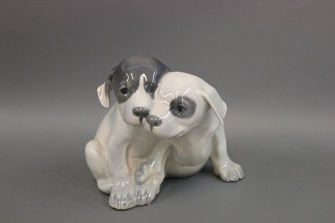 Royal Copenhagen porcelain figurine, Pointer puppies, no. 260.
Great condition

