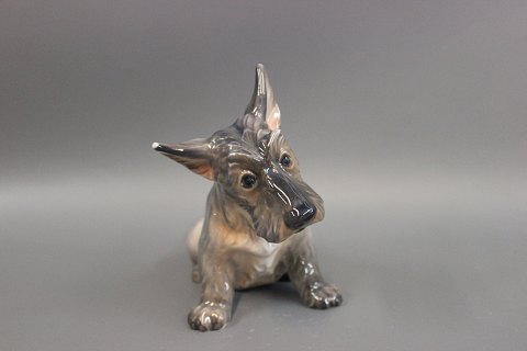 Dahl Jensen Porcelain Figurine, Scottish Terrier, marked with Royal Crown and 
DJ. 
Great condition
