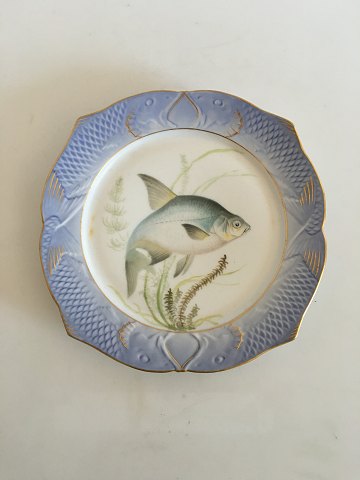 Royal Copenhagen Blue Fish Plate No 1212/3002 with Gold and Abramis Blicca