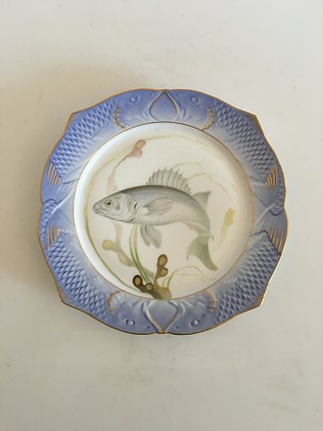 Royal Copenhagen Blue Fishplate with Gold No 1212/3002 with Labrax Lupus