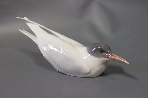 Royal Copenhagen porcelain figure Arctic Tern, no.: 827.
Great condition
