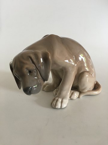 Royal Copenhagen Figurine of Dog "Bob" No. 318