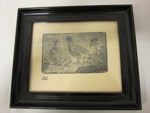 Print by Johannes Larsen, the Danish painter from Fyn 
Capercaillie (tjur) bird
Framed in an old frame
H: 23cm W: 29cm 
Please see the other prints that we have by Johannes Larsen as well.
Johannes Larsen is mainly famous for his drawings of birds