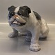 Royal Copenhagen figurine 0778 RC Huge English Bulldog sitting. Designed by Knud 
Kyhn 1906
