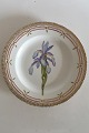 Royal Copenhagen Flora Danica Dinner Plate with Iris No 3549