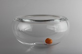 Holmegaard Glassvorks
HUGE Provence Bowl made of glass
Diameter 32 cm
Height 16 cm
Nice vintage condition - no chips
item no:
241941 Holmegaard Glassvorks
HUGE Provence Bowl made of glass
Diameter 32 cm
Height 16 cm
Nice vintage condition - no chips
item no:
241941