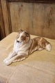 Porcelain figurine of a Collie dog from Royal Copenhagen.