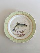 Royal Copenhagen Green Fish Dinner Plate No 919/1710 with Clupea Harengus