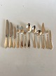 Georg Jensen Sterling Silver Continental Flatware Set for 12 Pers. 140 Pieces