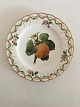 Antique Saxon Flower Fruit Plate with Pierced Lace Border from around 1800