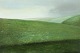Dansk 
Kunstgalleri 
presents: 
"After 
rain" Oil 
painting on 
canvas in 
original 
natural frame. 
The painting 
has ...