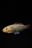 item no: Papmaché fisk nr.3