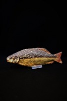 item no: Papmaché fisk nr.2