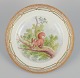 Royal Copenhagen Fauna Danica dinner plate with a motif of squirrel in a 
landscape. Hand-painted.