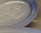 Klosterkælderen 
presents: 
014 Large 
serving 
platter, oval 
46 cm B&G 
Seagull 
Porcelain with 
gold
