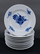 Antikkram 
presents: 
Blue 
Flower Plain 
Danish 
porcelain. Set 
of 10 Cake 
plates No 8092 
of 1st quality.