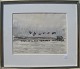 leif rydeng king ededergans greenland 42x35