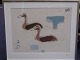åge gitz johansen 72x62 birds