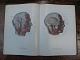 Anatomical Atlas. Budapest, the 1965th 600 pages in 3 volumes in very good condition.