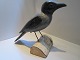 Crow DecoysL.43 cm H.29 cm