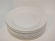 Antik K presents: SaltoDinner plates 23.5 cm.