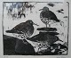 Leif Ryding woodcuts, sandpipers 48X52
