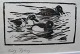 Leif Ryding woodcuts, tufted ducks 28X32cm