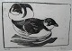 Leif Ryding woodcuts, auks 37X43cm