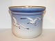 Seagull with
gold edge
Flower pot