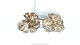 Earrings, Gold
Plated Sterling
Silver