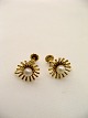 Earrings 585