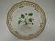 Royal
Copenhagen
Flora Danica
Lunch plate
# 3554