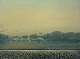 Ken Zier
<div>Oil on
canvas</div>
" Evening
race" Ken Zier
<div>Oil on
canvas</div>
" Evening
race"