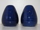 Blue Fire
Salt- and
pepper shaker Blue Fire
Salt- and
pepper shaker