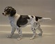 B&G Figurine
B&G 2062
English Setter
21 x 31 cm
B&G Figurine
B&G 2062
English Setter
21 x 31 cm