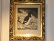 Watercolour by gitz johansen guillemot
