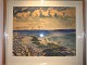 Watercolour by Leif Rydeng Hesselø ducks
