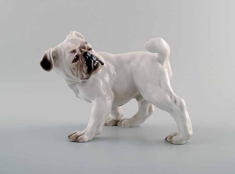 Bing & Grøndahl hund B&G, nummer 1992 Engelsk Bulldog 14 cm. 
