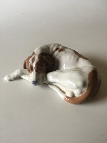 Royal Copenhagen Pointer head down Figurine No 1634