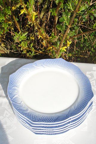 Kongelig Musselmalet fiskestel Tallerken 3002