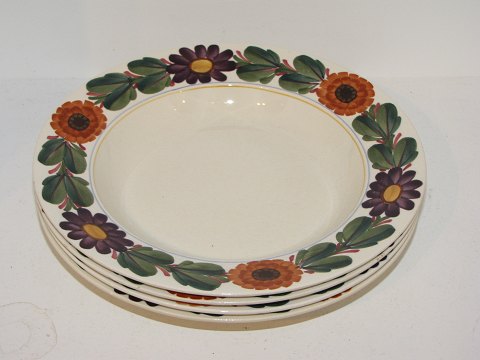 Zinnia I