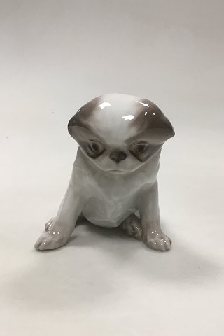 Royal Copenhagen Figurine Pekingese Puppy No 1452/448