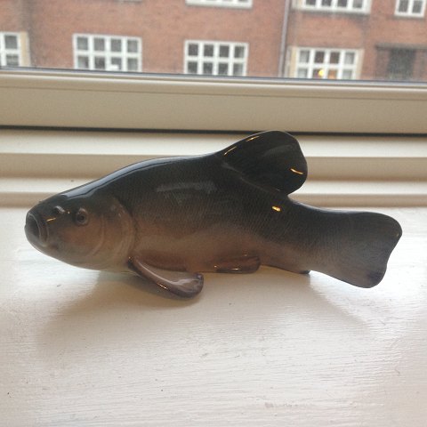 Royal Copenhagen Art Nouveau Fish Tench No 372