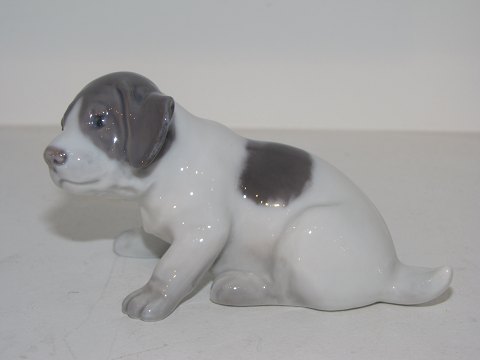 Royal Copenhagen figurine
Pointer puppy