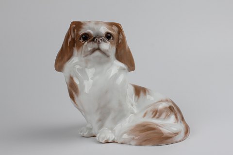 Royal Copenhagen
Pekingese 1453/1772