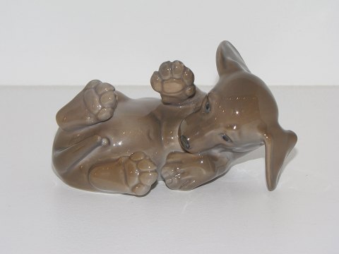 Royal Copenhagen  figurine
Dachshund