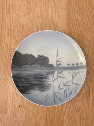 Royal Copenhagen Art Nouveau Wall Plate with lake motif No 1303/1125