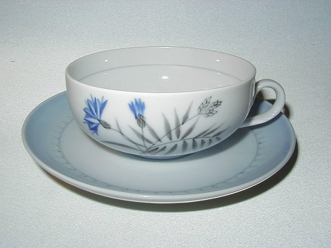 item no: 22815
