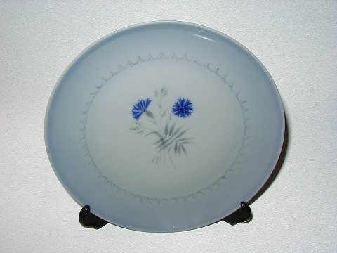 item no: 22816